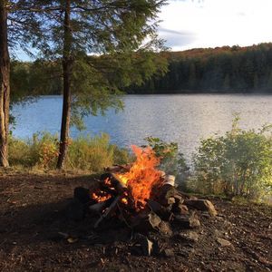 Meet your Posher, Halisha